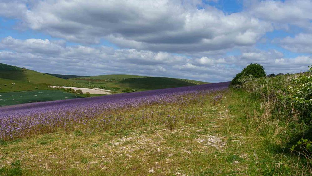 Lewes to Brighton via Rottingdean coastal walk — video thumbnail