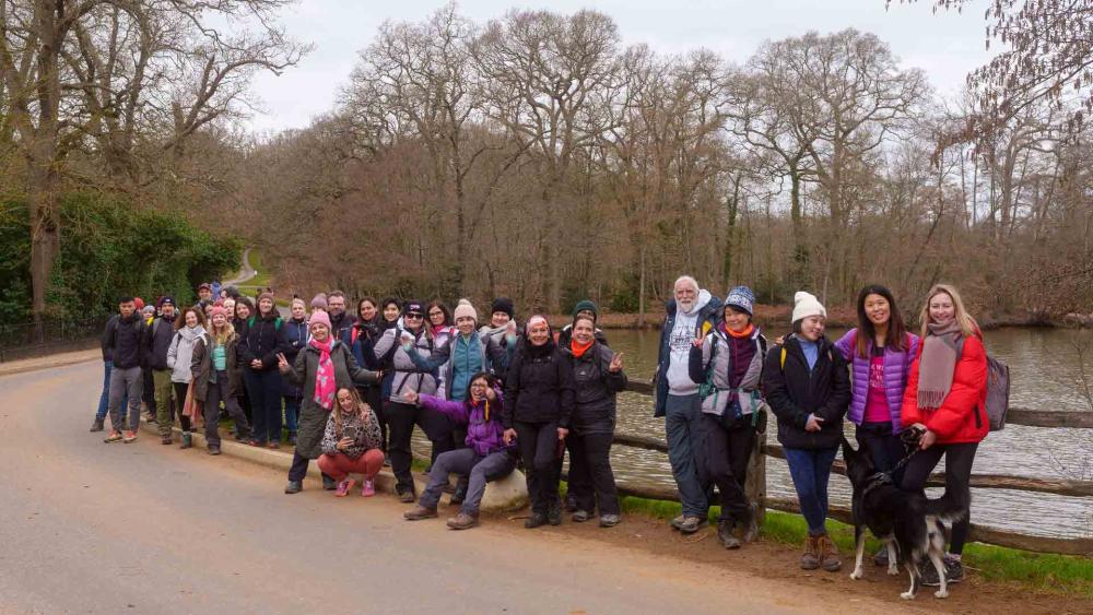 Long Walk and deer in Windsor Great Park