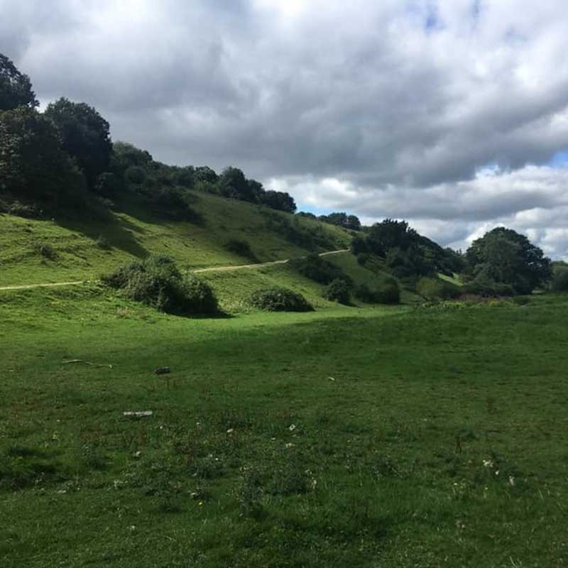 Scenery from a Hiking in London adventure