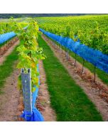 Hiking: Polesden Lacey & England's Largest Vineyard – Sat 05 Sep 2026