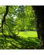 Osterley Park Short Walk – Monday 19 Apr 2027
