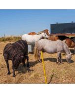 Seaford to Eastbourne (Seven Sisters cliffs) Walk - Sat 03 Jul 2027