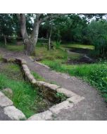 Hiking: West End & Esher Commons – Sun 14 Mar 2027