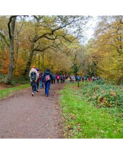 Sunday Walk - Epping Forest Hike family for Beginners 16 Jun 2024