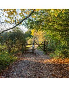 Hiking: Box Hill & North Downs – Sat 29 Nov 2026