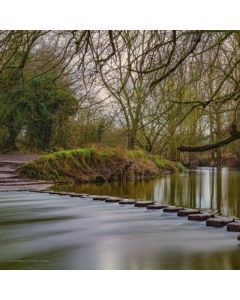 Box Hill & North Downs Winter Hike – Sun 04 Jul 2027