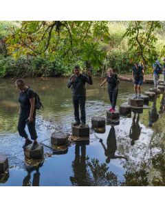 Hiking: Box Hill & North Downs – Sat 29 Nov 2025