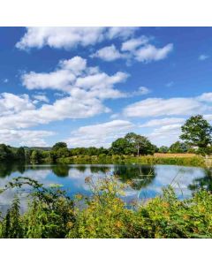 Chingford Circular Short Walk - Monday 03 May 2027