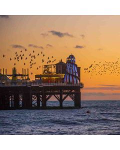 Hiking: Devil's Dyke & Brighton – Sat 16 May 2026 (The Great Escape + Fringe)