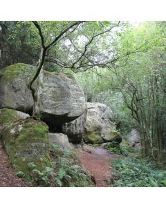 Hiking: Eridge Circular – Sat 02 Oct 2027