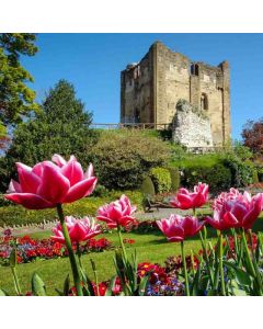 Guildford Circular Via Albury Park (surrey Hills) - Sat 24 Jan 2026