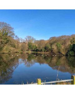 Hampstead & Parliament Hill – Sun 14 Feb 2027