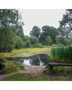 Hiking: West End & Esher Commons – Sun 08 Mar 2026