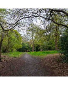 Women Only Hike: Lesnes & Bostall – Sun 22 Mar 2026