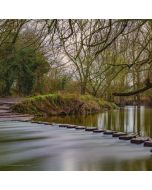 Box Hill & North Downs Winter Hike – Sun 04 Jul 2027