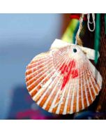 The Way of Saint James: Camino Francés Adventure | 14–19 Sep 2026