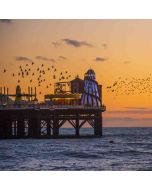 Hiking: Devil's Dyke & Brighton – Sat 24 May 2026 