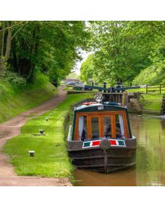 Berkhamsted Circular: Canal, Fields & Hockeridge Wood - Sun 30 May 2027 - BlueBells