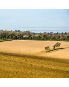 Halloween Chilham Circular Walk – Sat 31 Oct 2026
