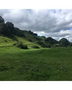 Cookham to Maidenhead Walk - Sat 17 Oct 2026