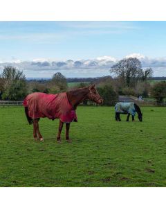 Hiking: Gatton Park & North Downs – Sun 06 Jun 2027