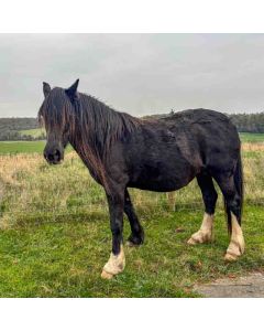 Hiking: Gerrards Cross to Cookham – Sat 15 May 2027