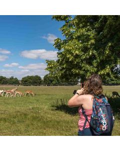Hampton Court Circular – Saturday 22 May 2027