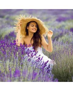 Hiking: Lavender Fields – Banstead & Oaks – Sun 11 Jul 2027