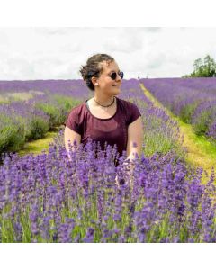 Hiking: Lavender Fields – Banstead & Oaks – Sun 11 Jul 2027