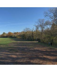 Hiking: Leith Hill & Rhododendron Wood – Sat 06 Mar 2027