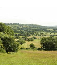 Lullingstone & Eynsford – Sat 18 Sep 2027