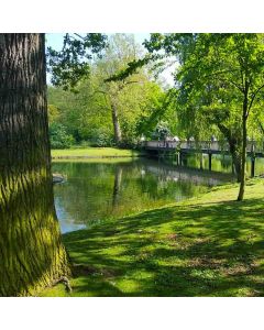 Regent's Park and Primrose Hill Circular - Mon 07 Jun 2027