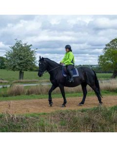 Wimbledon Circular Walk – Sunday - Sun 05 Sep 2027