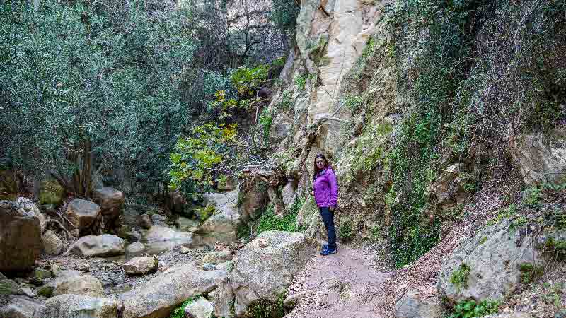Hiking Mount Olympus Cyprus – Troodos Mountains adventure with the Hiking in London Club