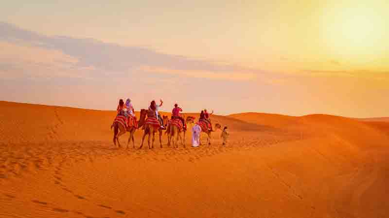 Group riding camels at sunset in the Dubai desert during a guided adventure tour.
