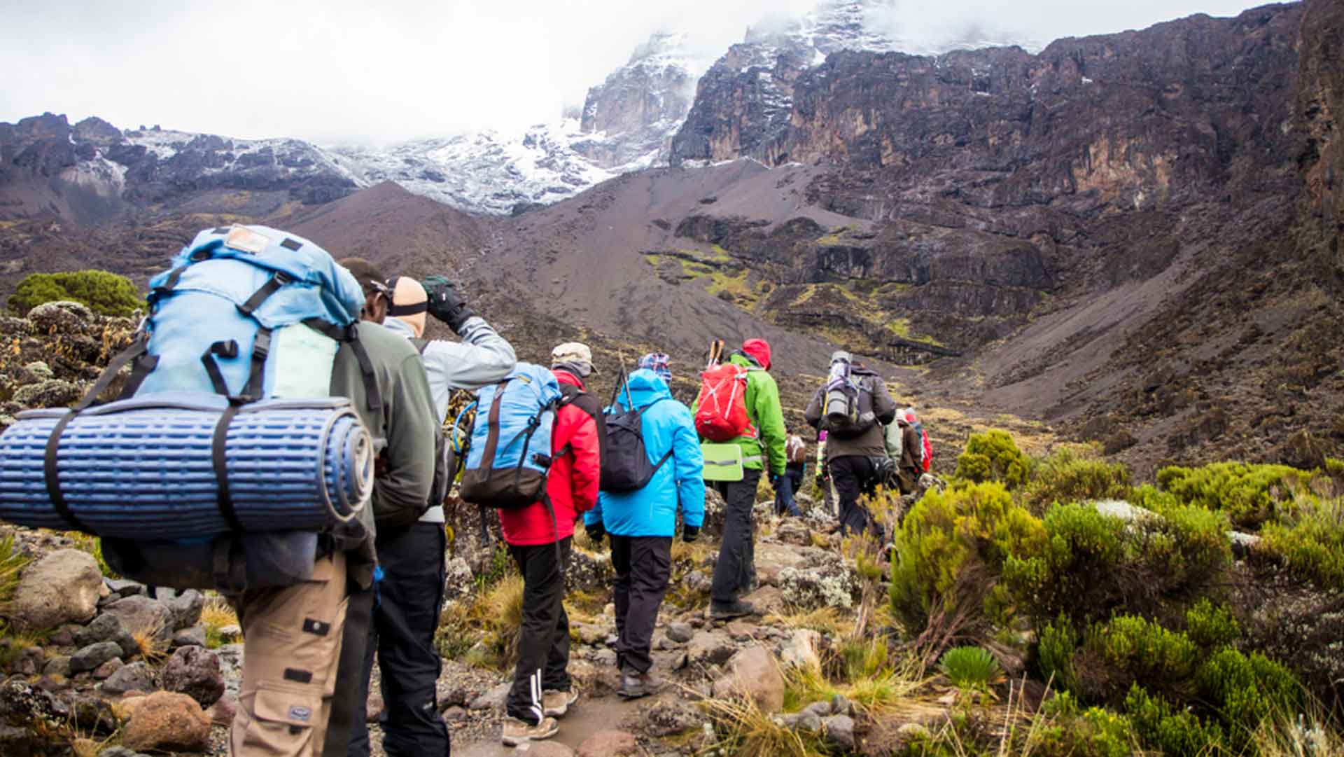 Kilimanjaro Trek Expedition with Hiking in London Group of hikers trekking on a rocky high-altitude path on Mount Kilimanjaro, Tanzania.