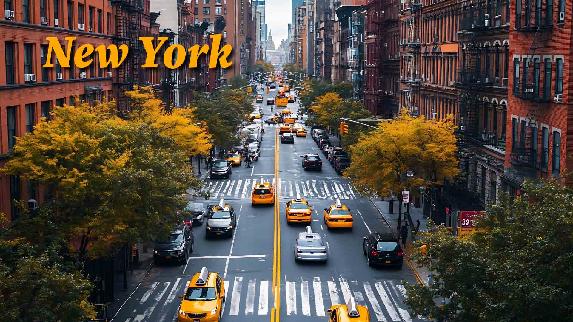 New York New York