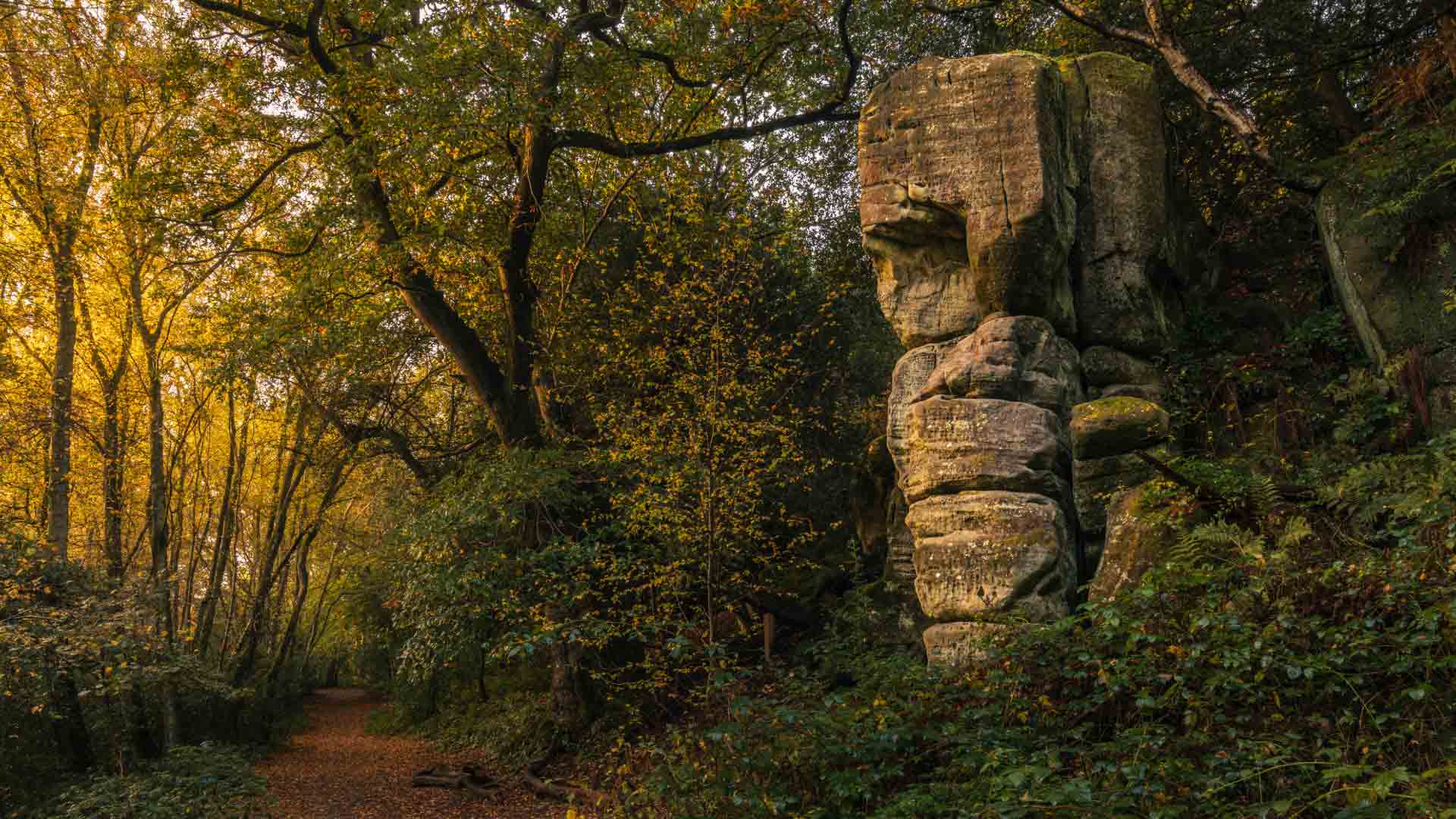 Discover Eridge: Culture, History, Mysteries & Curiosities Discover Eridge: Culture, History, Mysteries & Curiosities