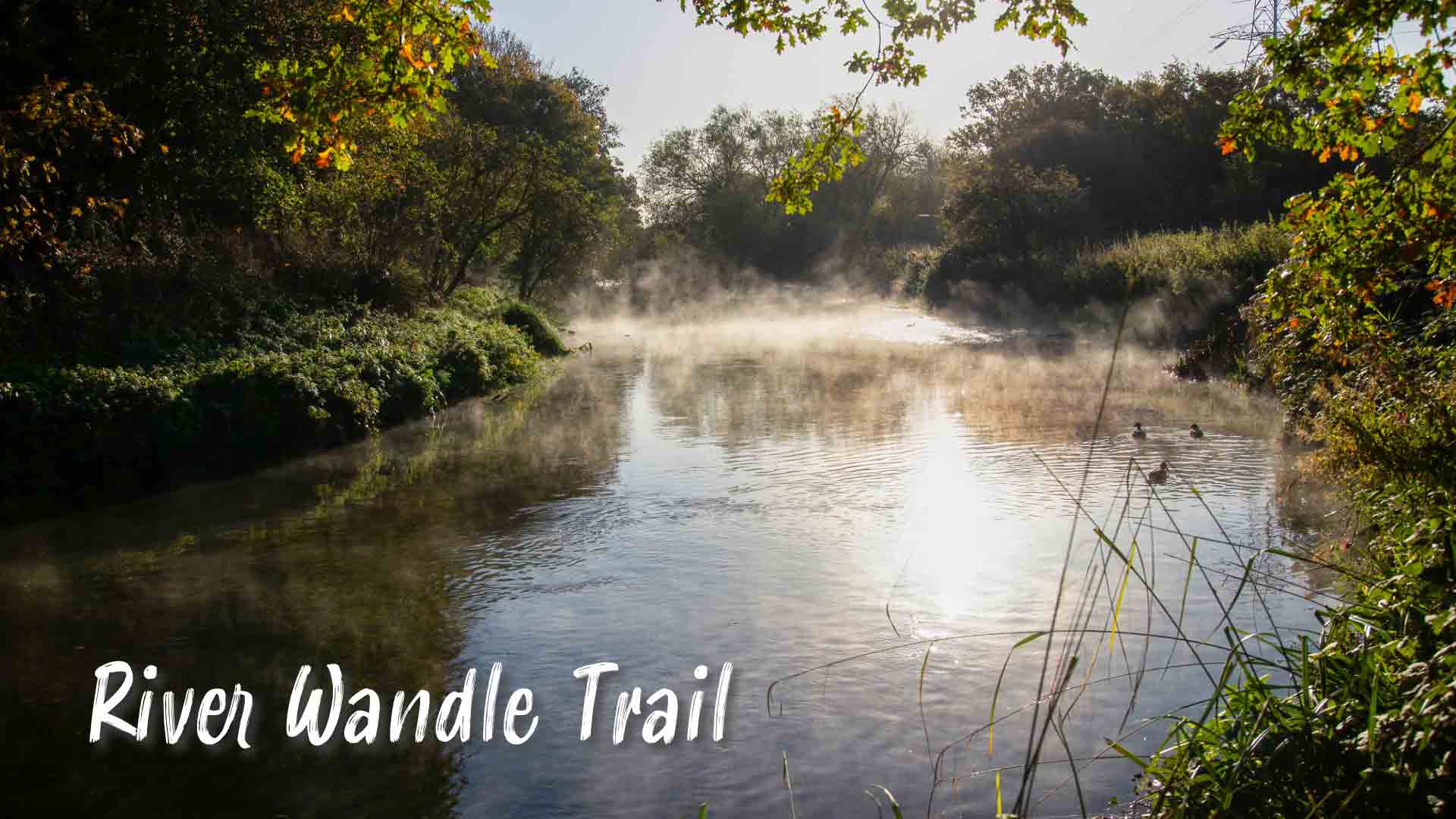 River Wandle Trail River Wandle Trail