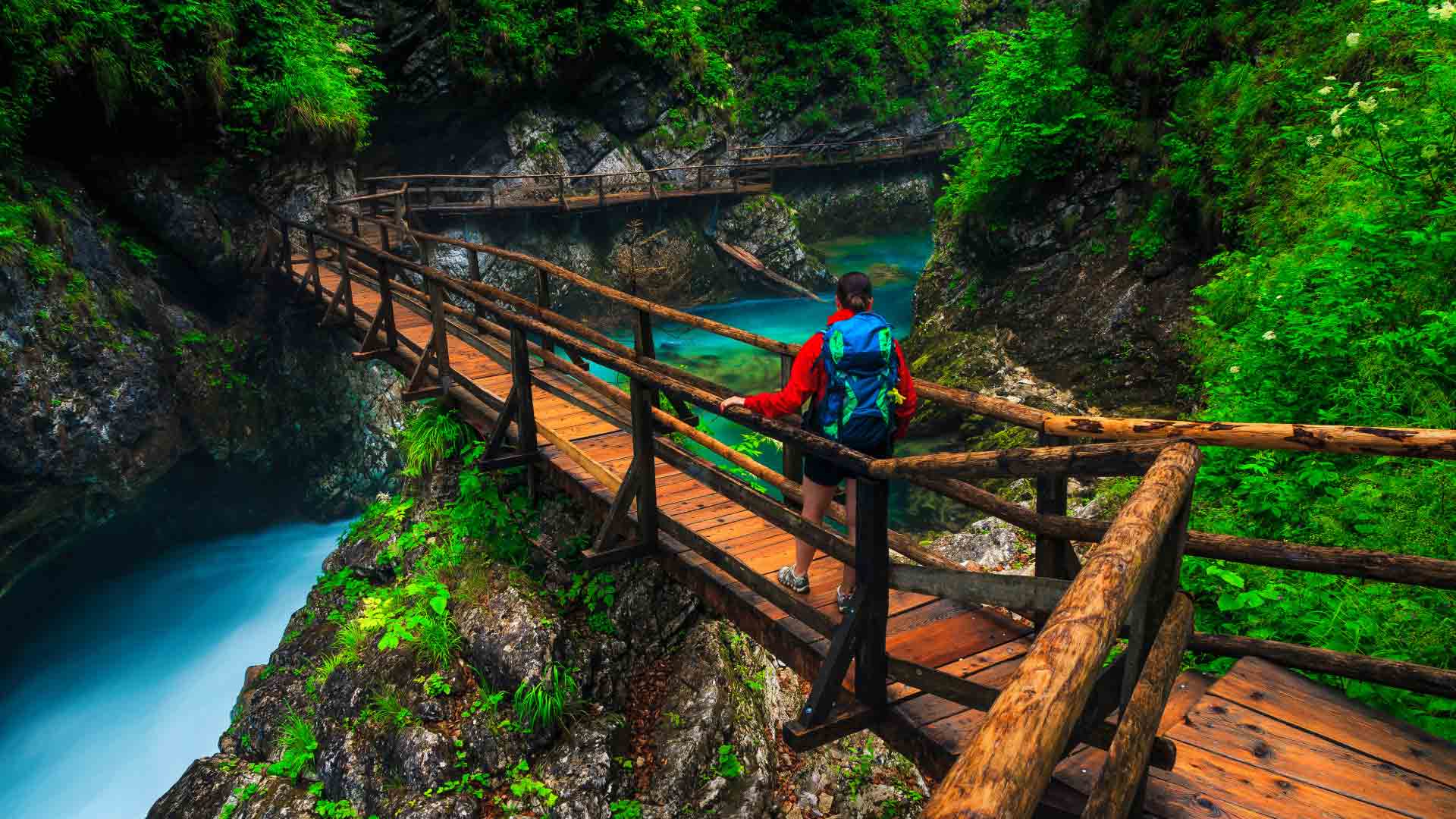 Hiker walking on a wooden bridge in Vintgar Gorge, Slovenia, surrounded by lush greenery and turquoise river