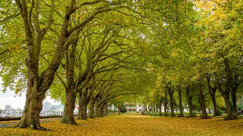 Wandsworth Park Wandsworth Park