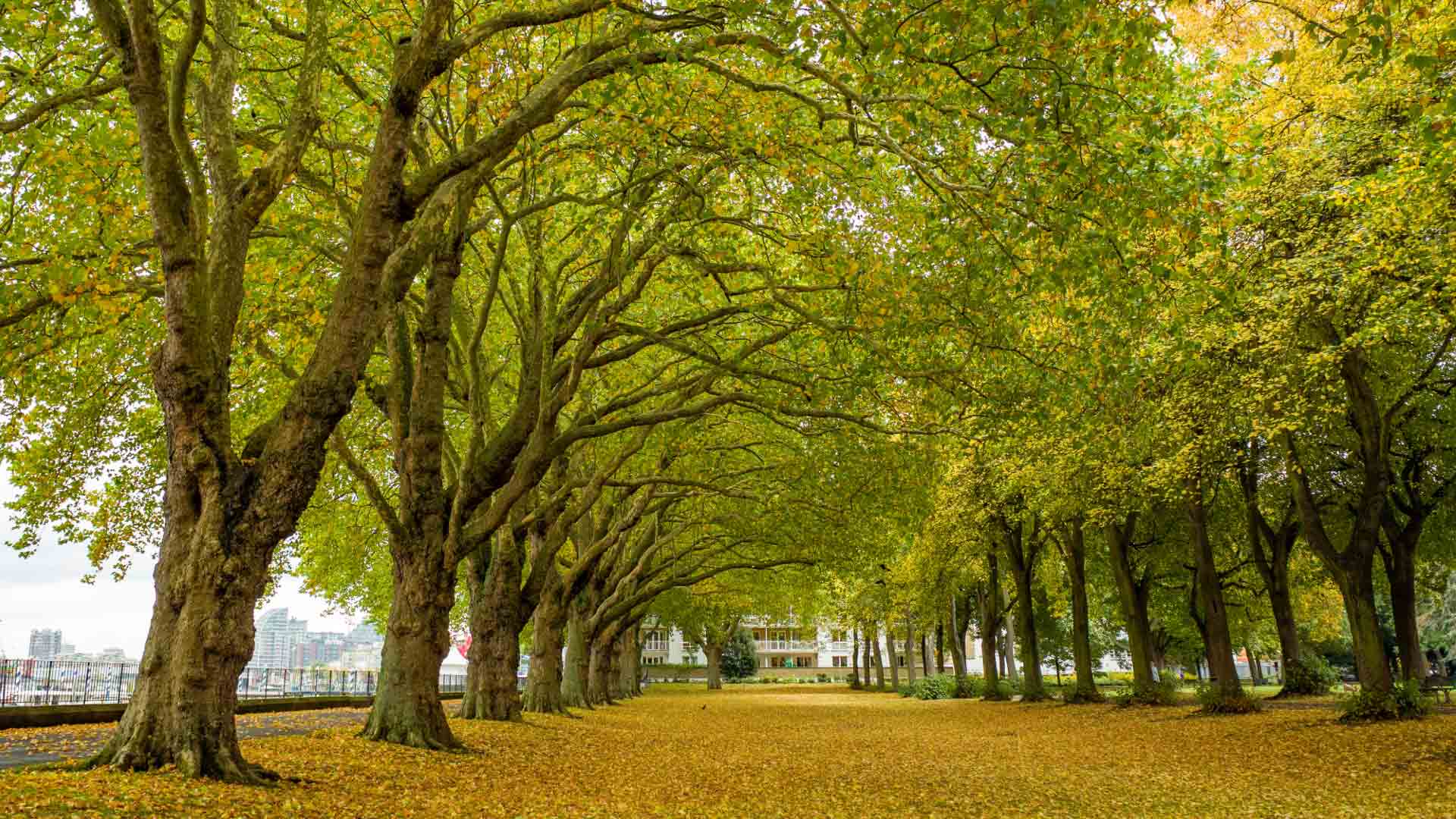 Wandsworth Park Wandsworth Park